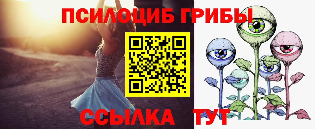 Алексин  Псилоцибиновые грибы мицелий  Вход с VPN 