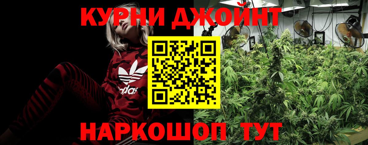 Канабис ГИДРОПОН  Бошки Шишки AK-47  Алексин  Вход с VPN  Бошки марихуана планчик 